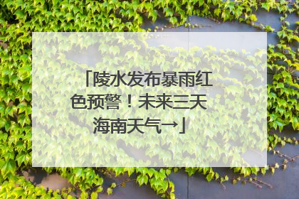 陵水发布暴雨红色预警！未来三天海南天气→