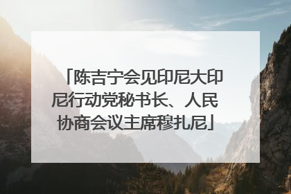 陈吉宁会见印尼大印尼行动党秘书长、人民协商会议主席穆扎尼