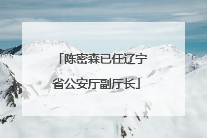 陈密森已任辽宁省公安厅副厅长