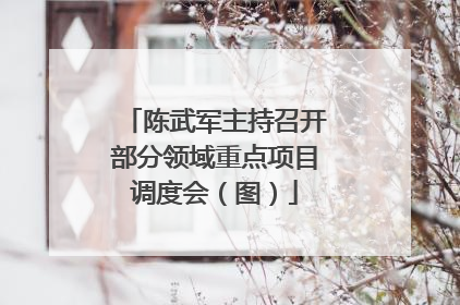 陈武军主持召开部分领域重点项目调度会（图）