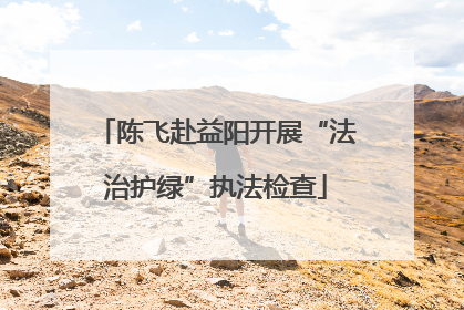 陈飞赴益阳开展“法治护绿”执法检查