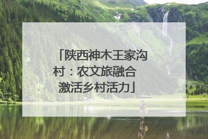 陕西神木王家沟村：农文旅融合 激活乡村活力
