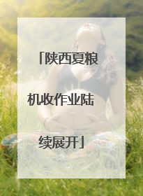 陕西夏粮机收作业陆续展开