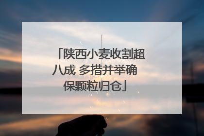 陕西小麦收割超八成 多措并举确保颗粒归仓