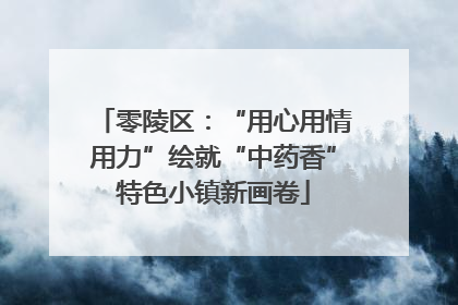 零陵区：“用心用情用力”绘就“中药香”特色小镇新画卷
