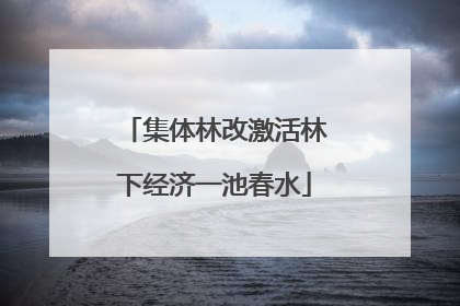 集体林改激活林下经济一池春水