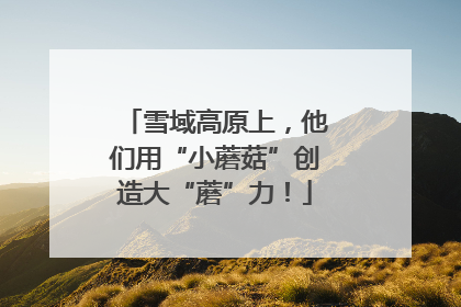 雪域高原上，他们用“小蘑菇”创造大“蘑”力！