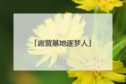 露营基地逐梦人