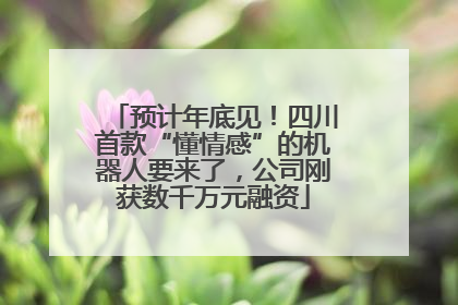 预计年底见！四川首款“懂情感”的机器人要来了，公司刚获数千万元融资
