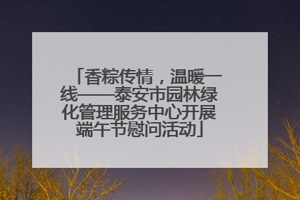 香粽传情，温暖一线——泰安市园林绿化管理服务中心开展端午节慰问活动