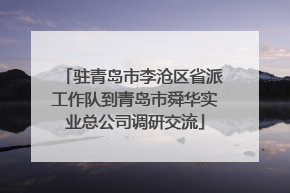 驻青岛市李沧区省派工作队到青岛市舜华实业总公司调研交流