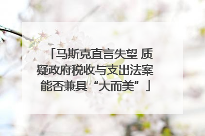 马斯克直言失望 质疑政府税收与支出法案能否兼具“大而美”