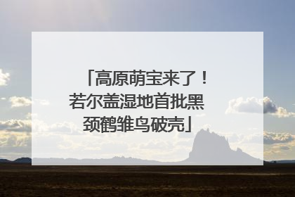 高原萌宝来了！若尔盖湿地首批黑颈鹤雏鸟破壳