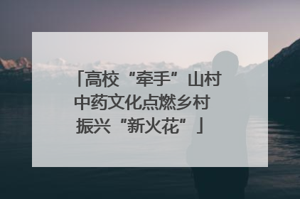 高校“牵手”山村 中药文化点燃乡村振兴“新火花”