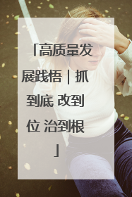 高质量发展践悟｜抓到底 改到位 治到根