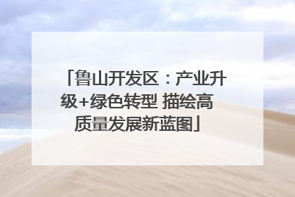 鲁山开发区：产业升级+绿色转型 描绘高质量发展新蓝图