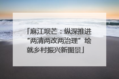 麻江坝芒：纵深推进“两清两改两治理”绘就乡村振兴新图景