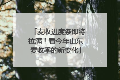 麦收进度条即将拉满！看今年山东麦收季的新变化