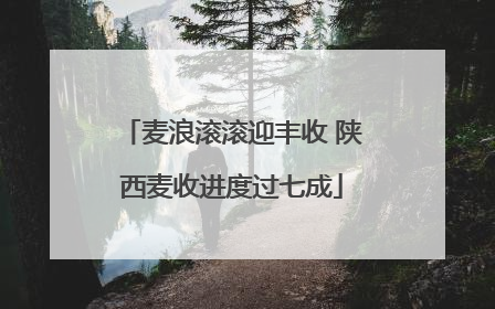 麦浪滚滚迎丰收 陕西麦收进度过七成