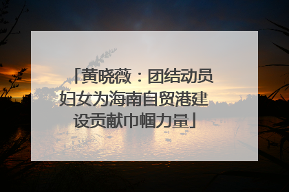 黄晓薇：团结动员妇女为海南自贸港建设贡献巾帼力量