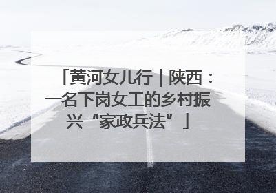 黄河女儿行｜陕西：一名下岗女工的乡村振兴“家政兵法”
