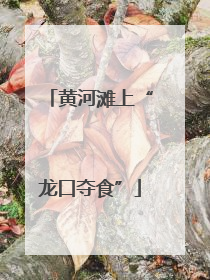 黄河滩上“龙口夺食”