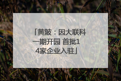 黄陂：因大联科一期开园 首批14家企业入驻