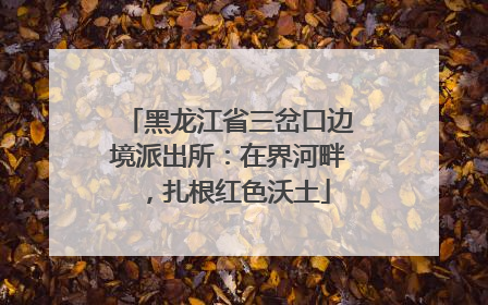 黑龙江省三岔口边境派出所：在界河畔，扎根红色沃土