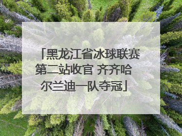 黑龙江省冰球联赛第二站收官 齐齐哈尔兰迪一队夺冠