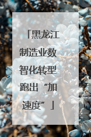 黑龙江制造业数智化转型跑出“加速度”