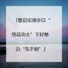 黟县宏潭乡以“绣花功夫”下好整治“先手棋”