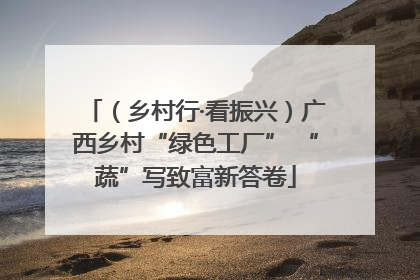 （乡村行·看振兴）广西乡村“绿色工厂” “蔬”写致富新答卷