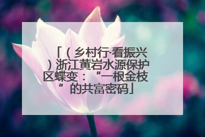 （乡村行·看振兴）浙江黄岩水源保护区蝶变：“一根金枝”的共富密码