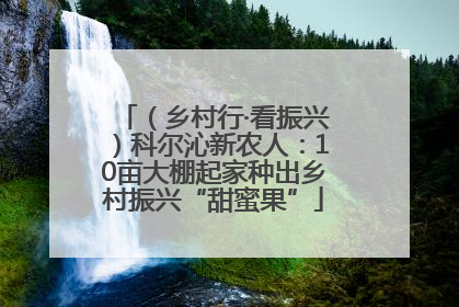 （乡村行·看振兴）科尔沁新农人：10亩大棚起家种出乡村振兴“甜蜜果”