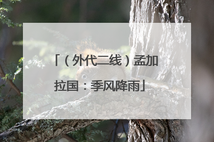 （外代二线）孟加拉国：季风降雨