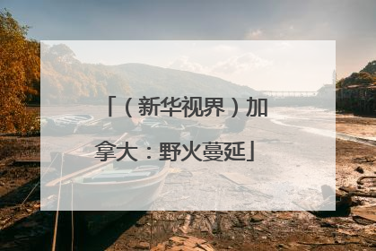 （新华视界）加拿大：野火蔓延