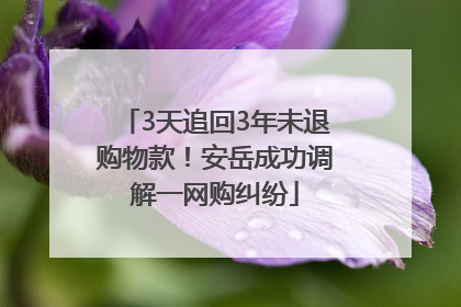 3天追回3年未退购物款！安岳成功调解一网购纠纷