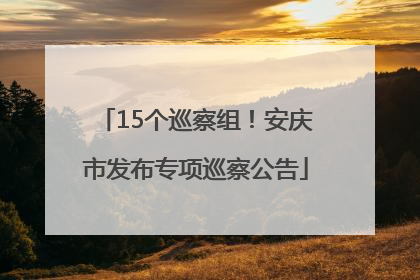 15个巡察组！安庆市发布专项巡察公告