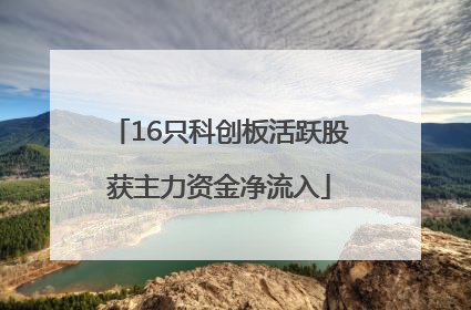 16只科创板活跃股获主力资金净流入