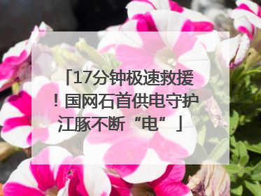 17分钟极速救援！国网石首供电守护江豚不断“电”