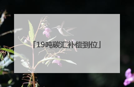 19吨碳汇补偿到位