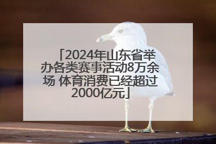 2024年山东省举办各类赛事活动8万余场 体育消费已经超过2000亿元