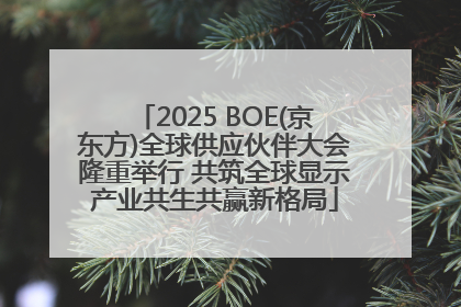 2025 BOE(京东方)全球供应伙伴大会隆重举行 共筑全球显示产业共生共赢新格局