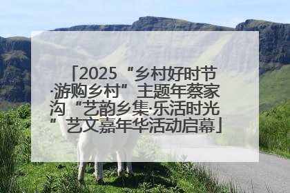 2025“乡村好时节·游购乡村”主题年蔡家沟“艺韵乡集·乐活时光”艺文嘉年华活动启幕