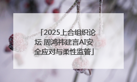 2025上合组织论坛 周鸿祎建言AI安全应对与柔性监管