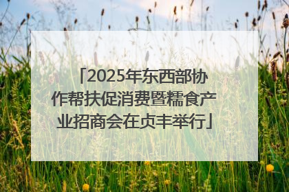 2025年东西部协作帮扶促消费暨糯食产业招商会在贞丰举行
