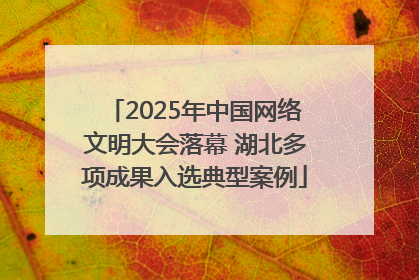 2025年中国网络文明大会落幕 湖北多项成果入选典型案例