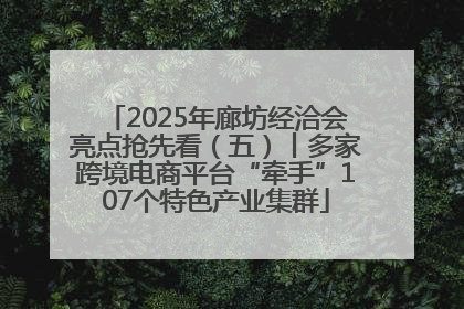 2025年廊坊经洽会亮点抢先看（五）丨多家跨境电商平台“牵手”107个特色产业集群