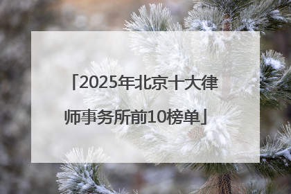 2025年北京十大律师事务所前10榜单
