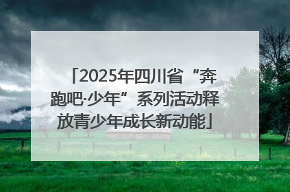 2025年四川省“奔跑吧·少年”系列活动释放青少年成长新动能